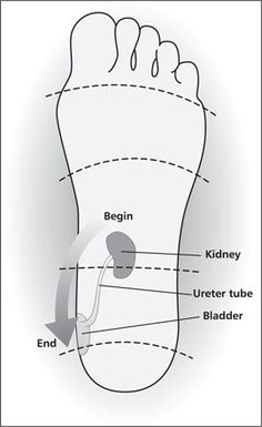 Give your kidneys some TLC for spring - The Natural Health Hub